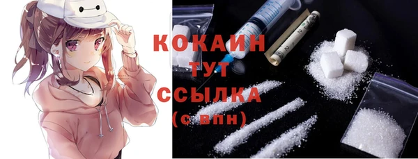 спиды Няндома