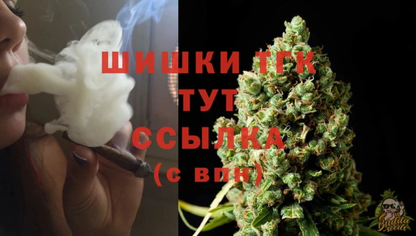 экстази Арсеньев